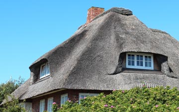 thatch roofing Blue Anchor